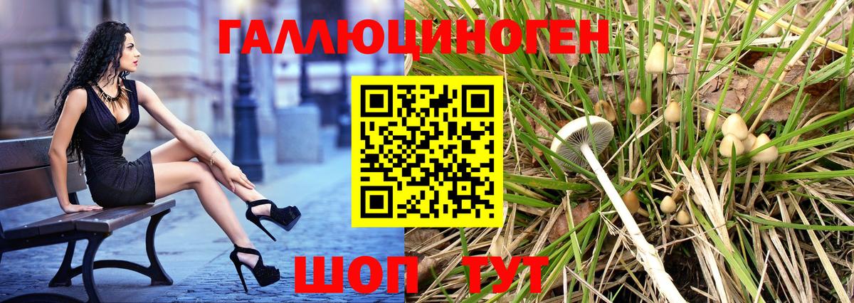 Галлюциногенные грибы Cubensis Вичуга